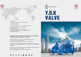 Catalogue Valve YDK